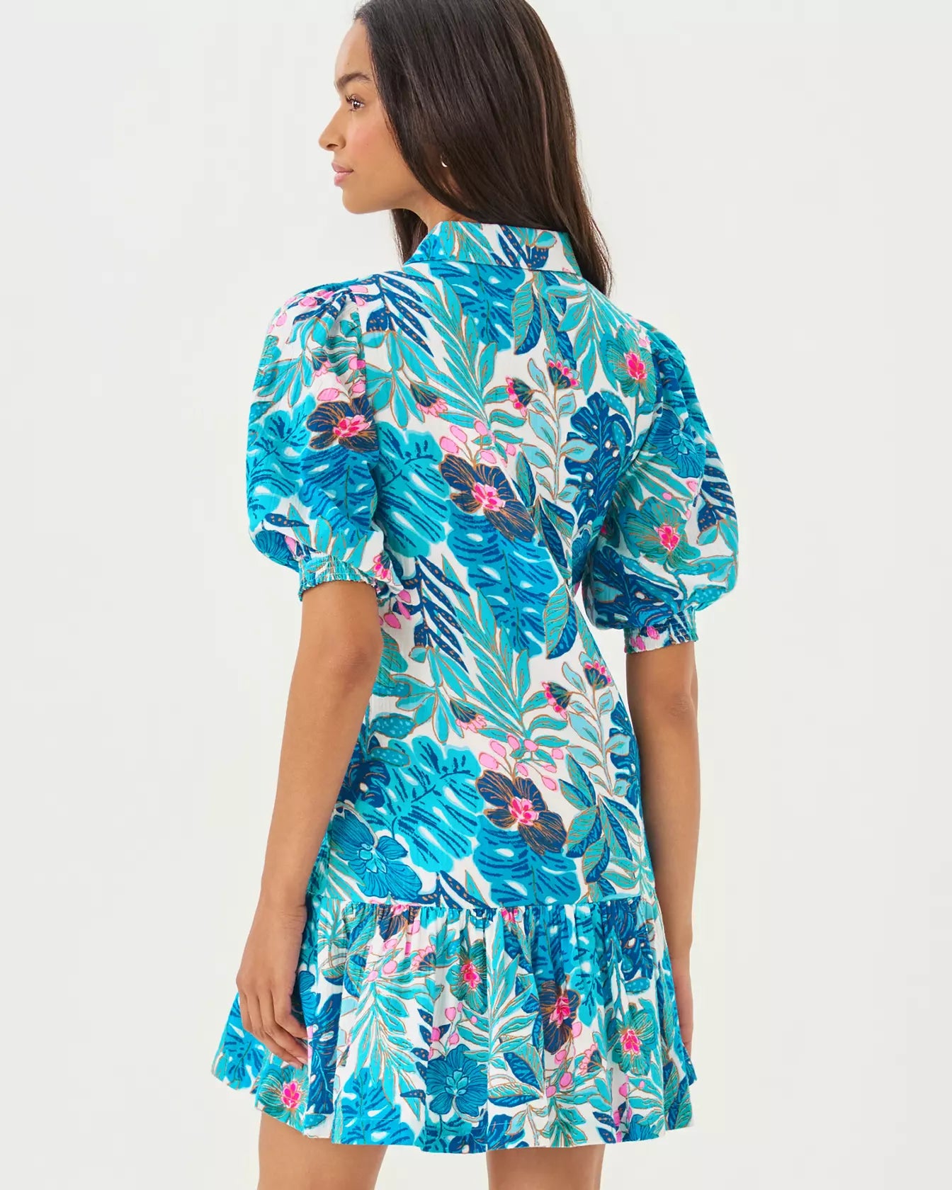 Lilly Pulitzer | Brett Popover Shirtdress