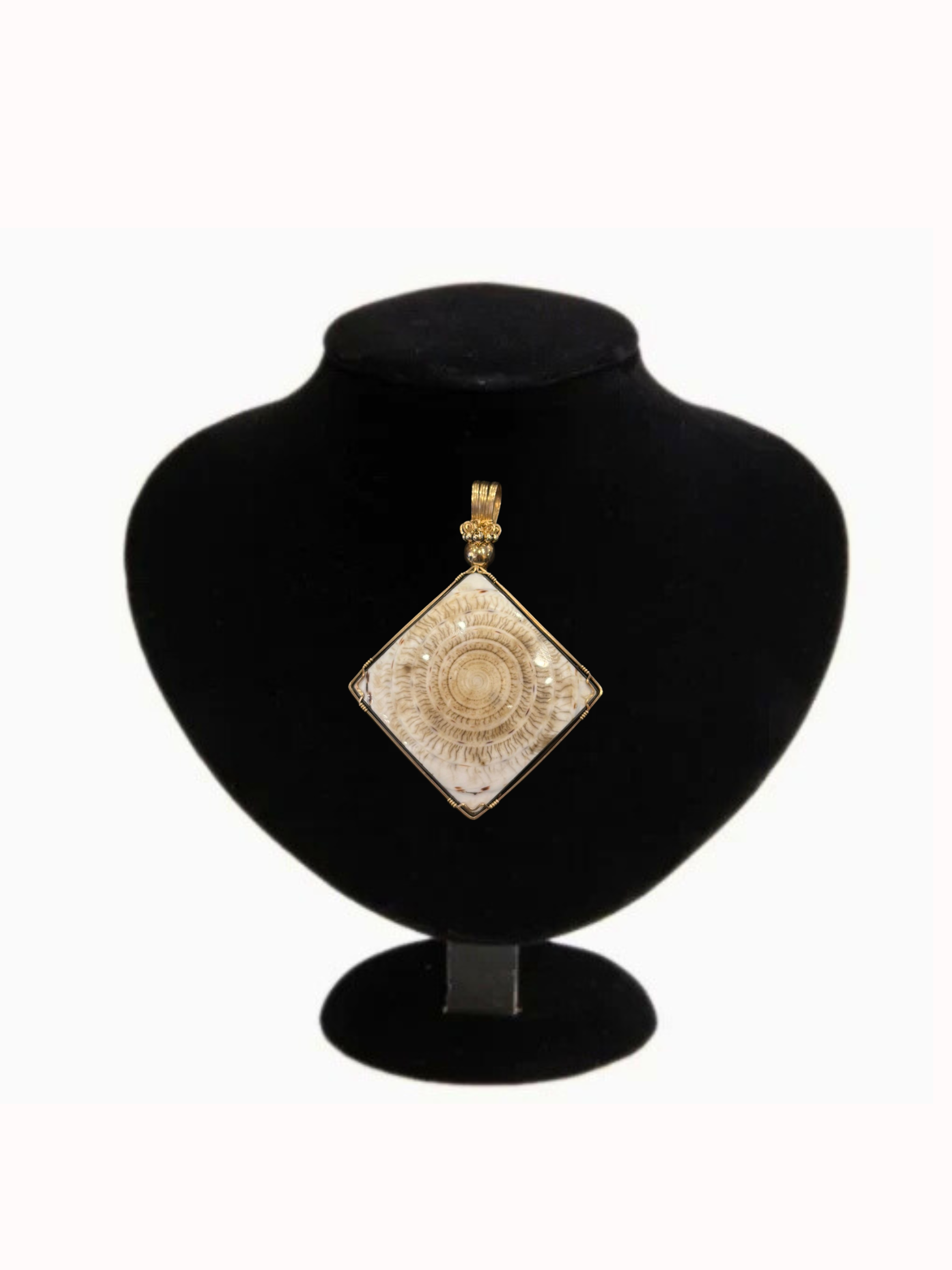 Starfire | Brazilian Fossilized Shell Pendant