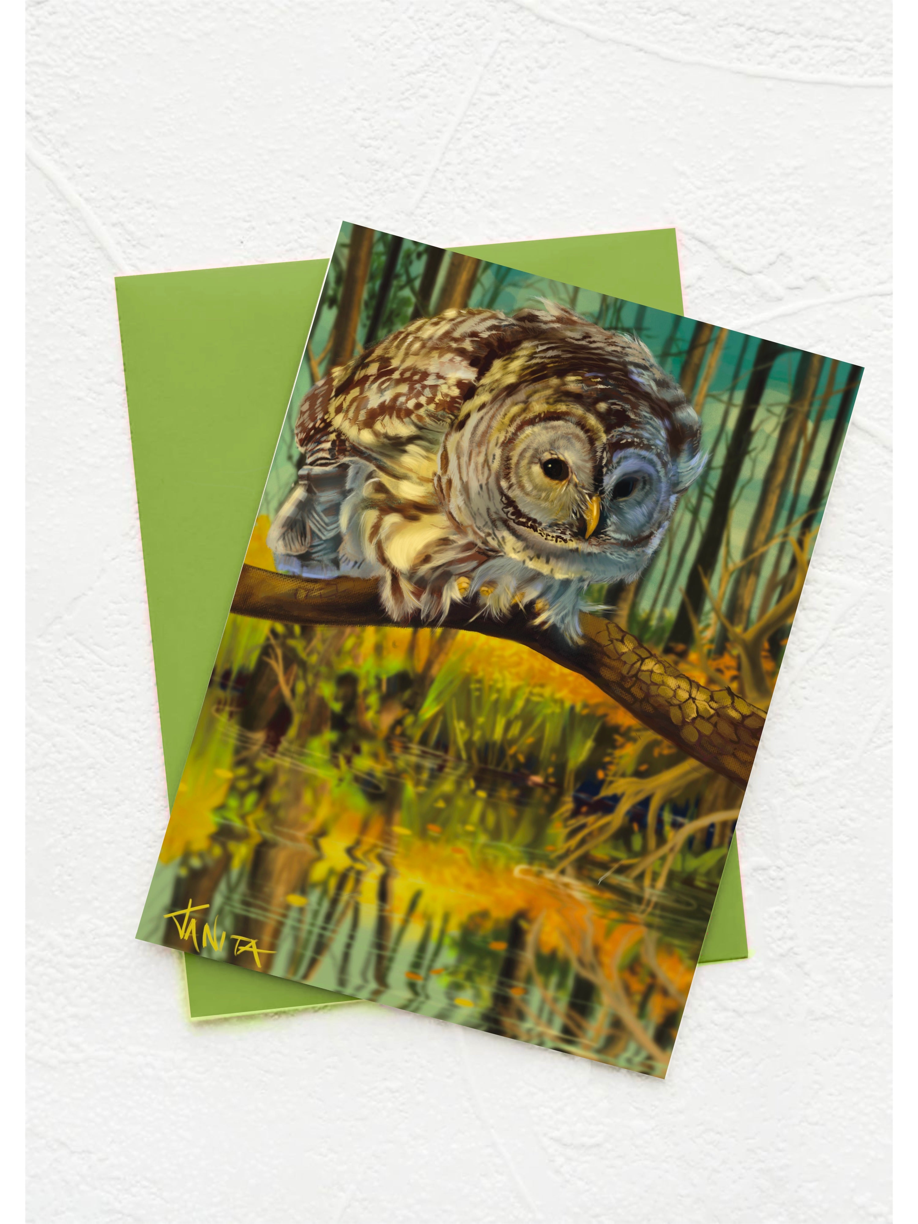 J Nelson | Birds Okeefenokee Cards 10 Pk | J Nelson | Cloister Collection Designer Fashion
