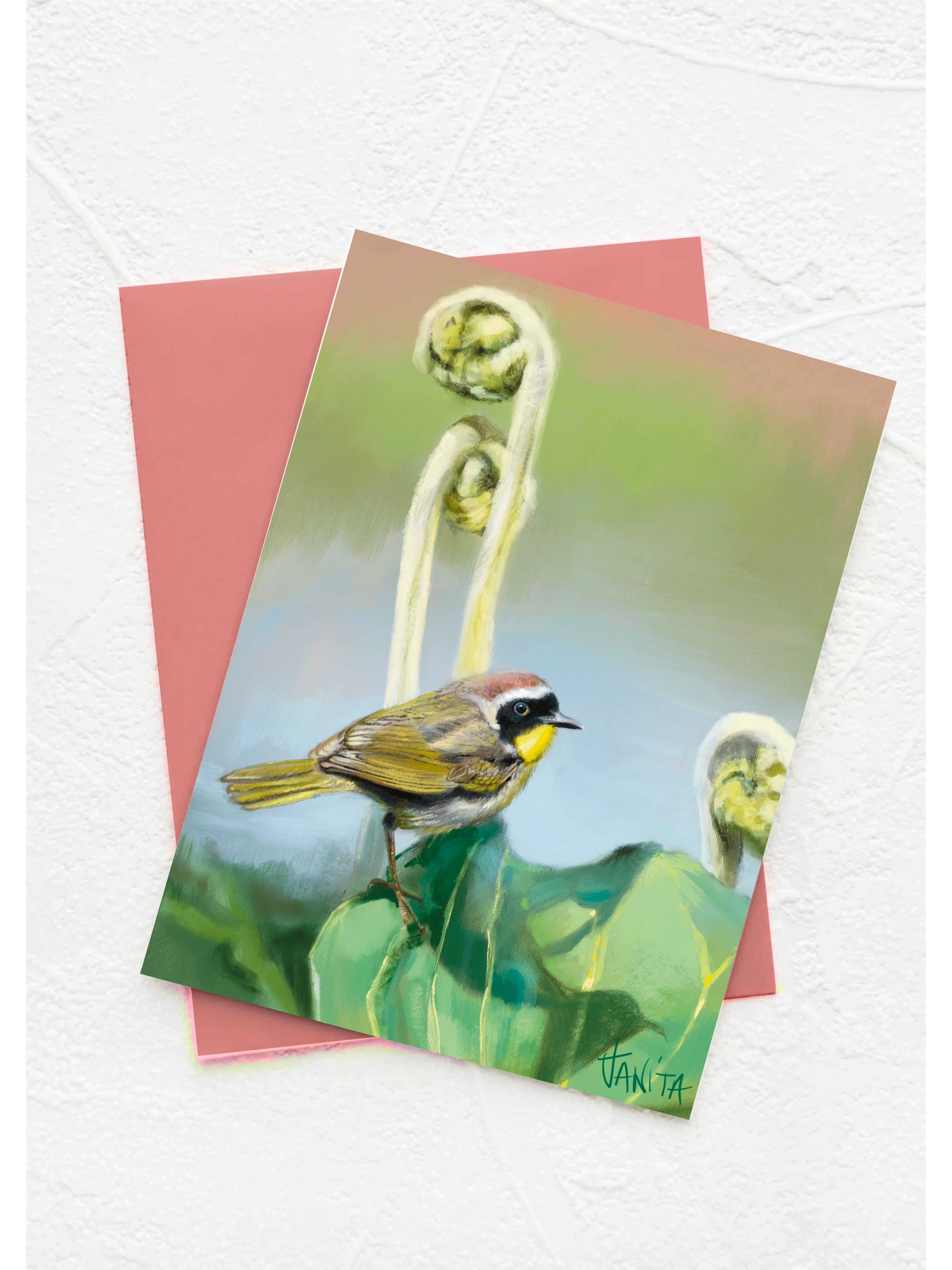 J Nelson | Birds Okeefenokee Cards 10 Pk | J Nelson | Cloister Collection Designer Fashion