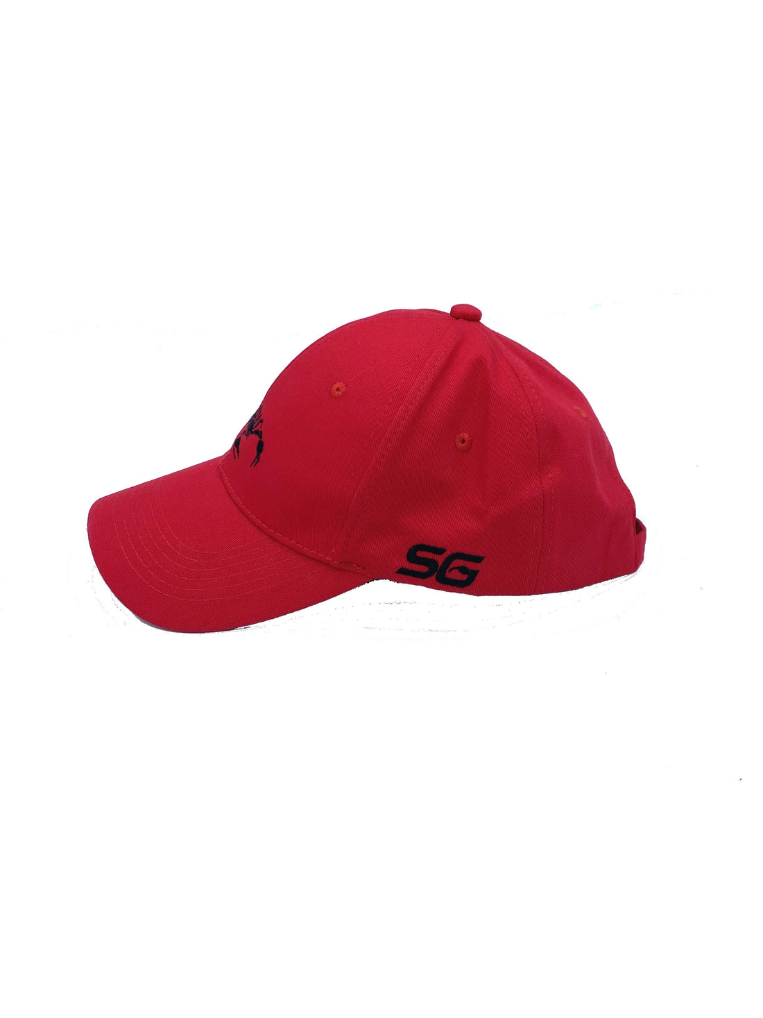Scorpions Baseball Hat