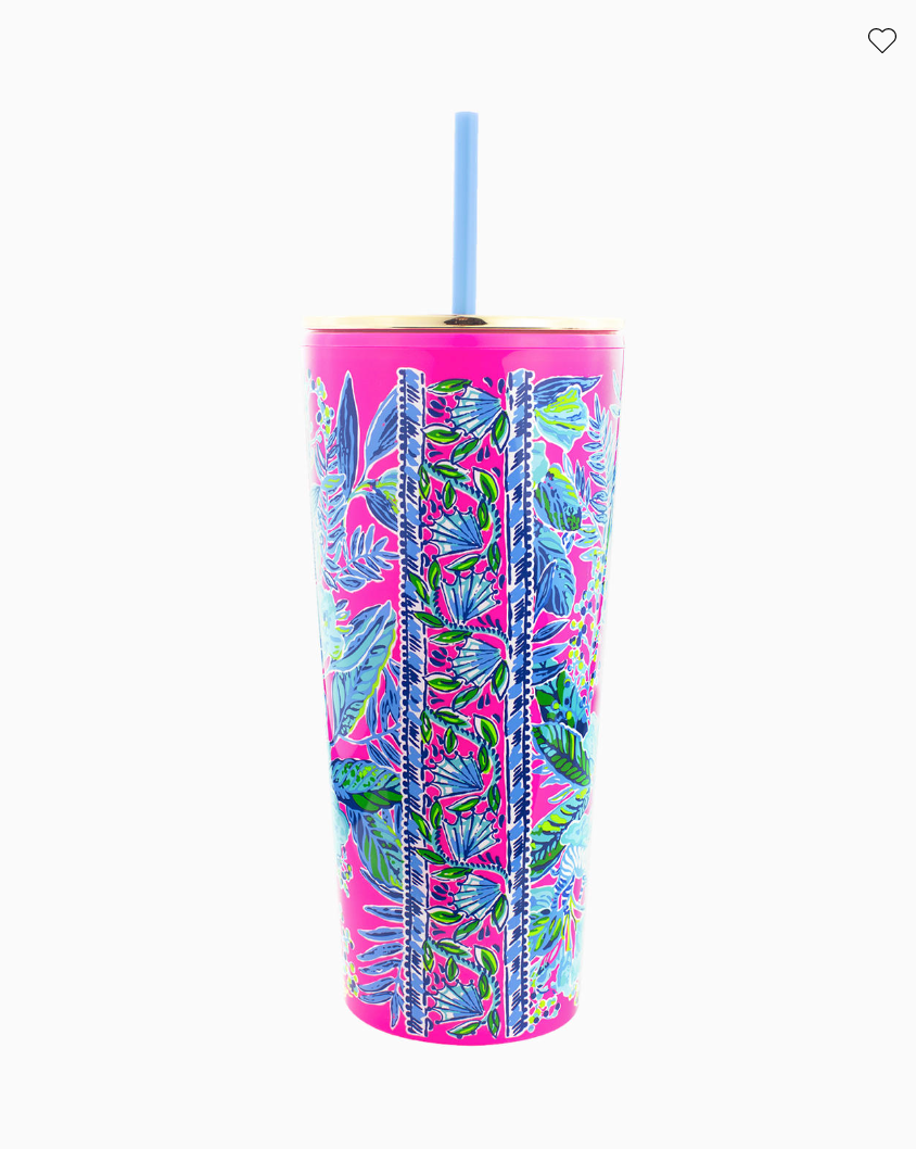 Double Wall Tumbler with Straw, Enchantment - Lifeguard Press