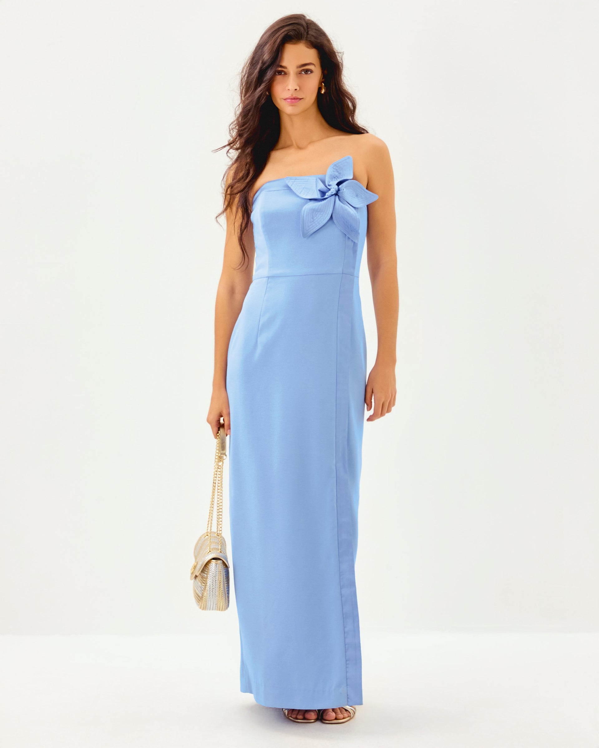 anasophia maxi dress Anasophia Maxi Dress