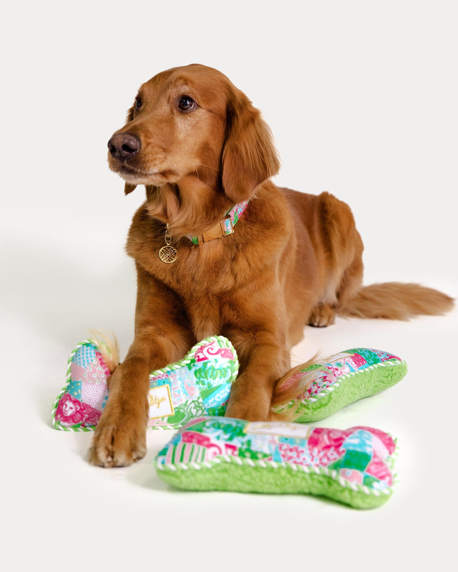 Pet Toy - Crazy Quilt Home