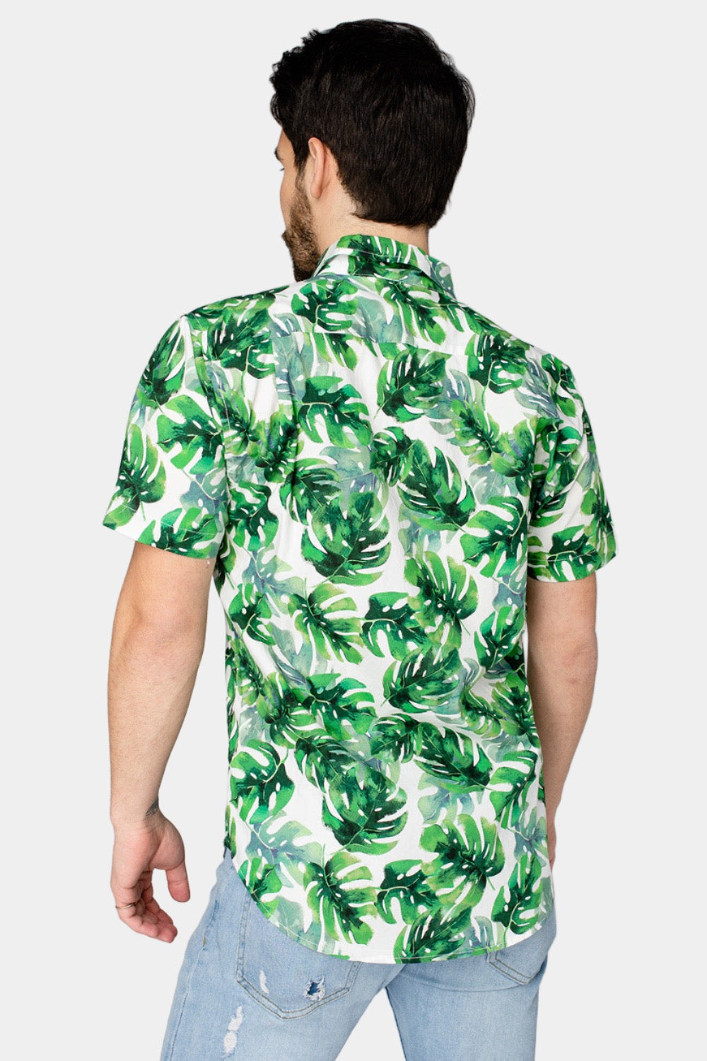 Robert Button Down Dress Shirt - Maui