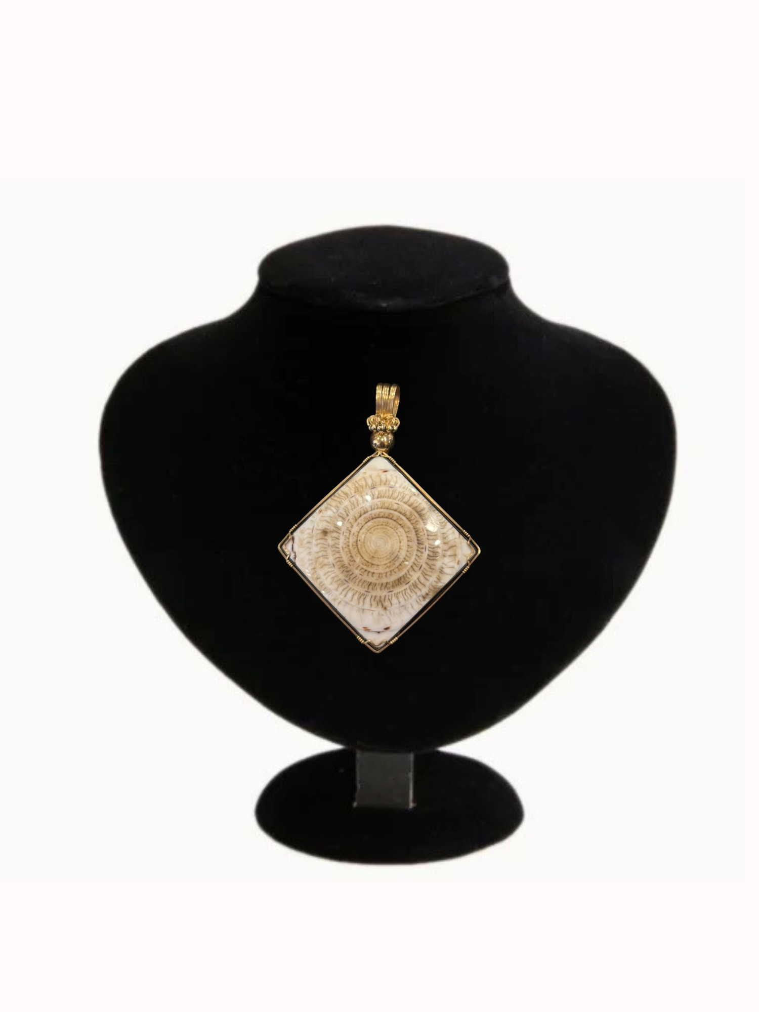 Starfire | Brazilian Fossilized Shell Pendant