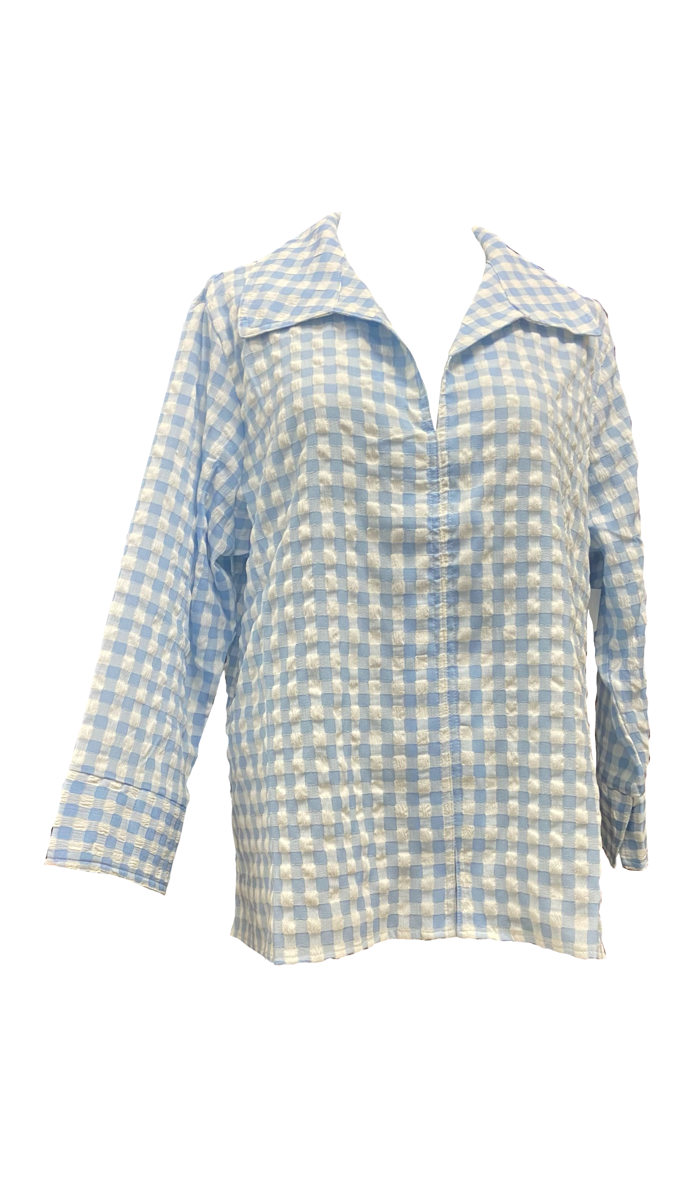 Boho Chic | Blue Check Top