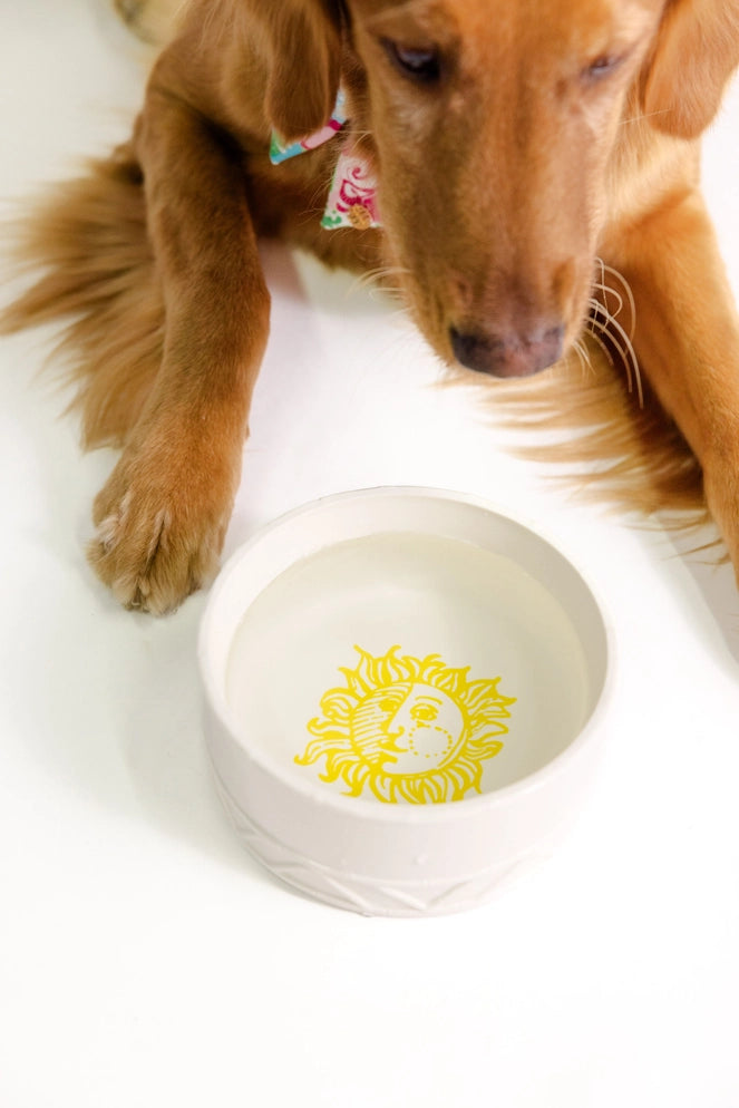 Lifeguard Press Pet Bowl, Sun Tiles Home dog water white bowl with a yellow design 