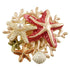 Origin Jewelry Starfish And Pearl Reef coral orange decorative brooch with starfish, shell, and pearl