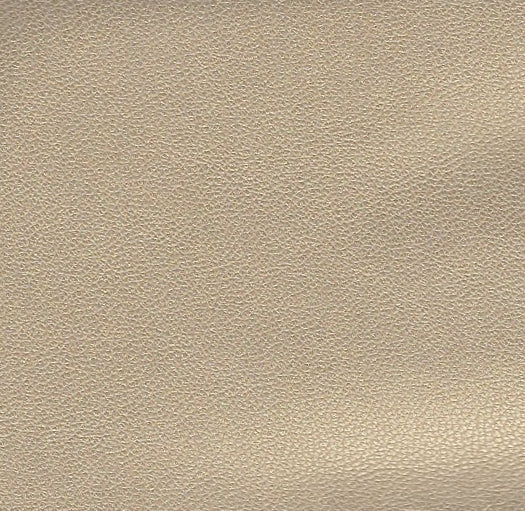 Patty Kim | Vegan Leather Morgan Top