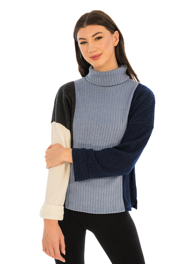 Trisha Tyler | Color Block Turtle Neck