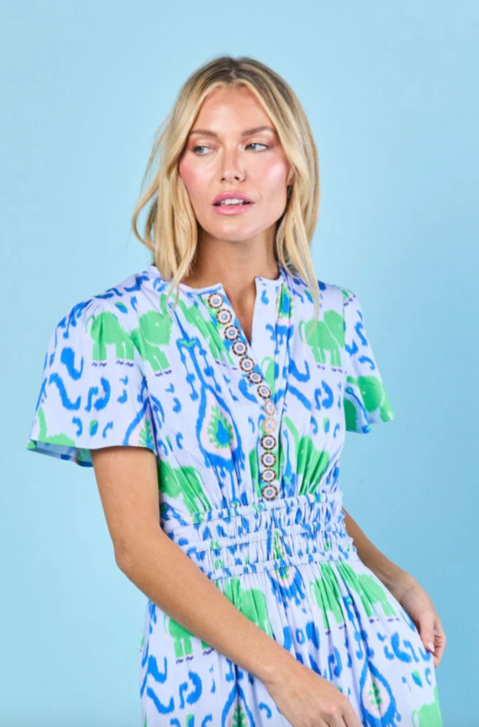 Sheridan French | Eloise Dress - Denim