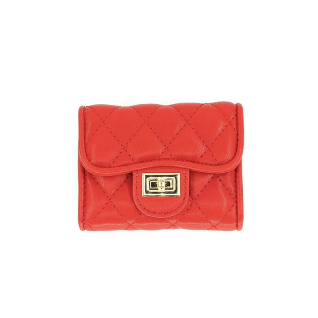 Credit Card Holder