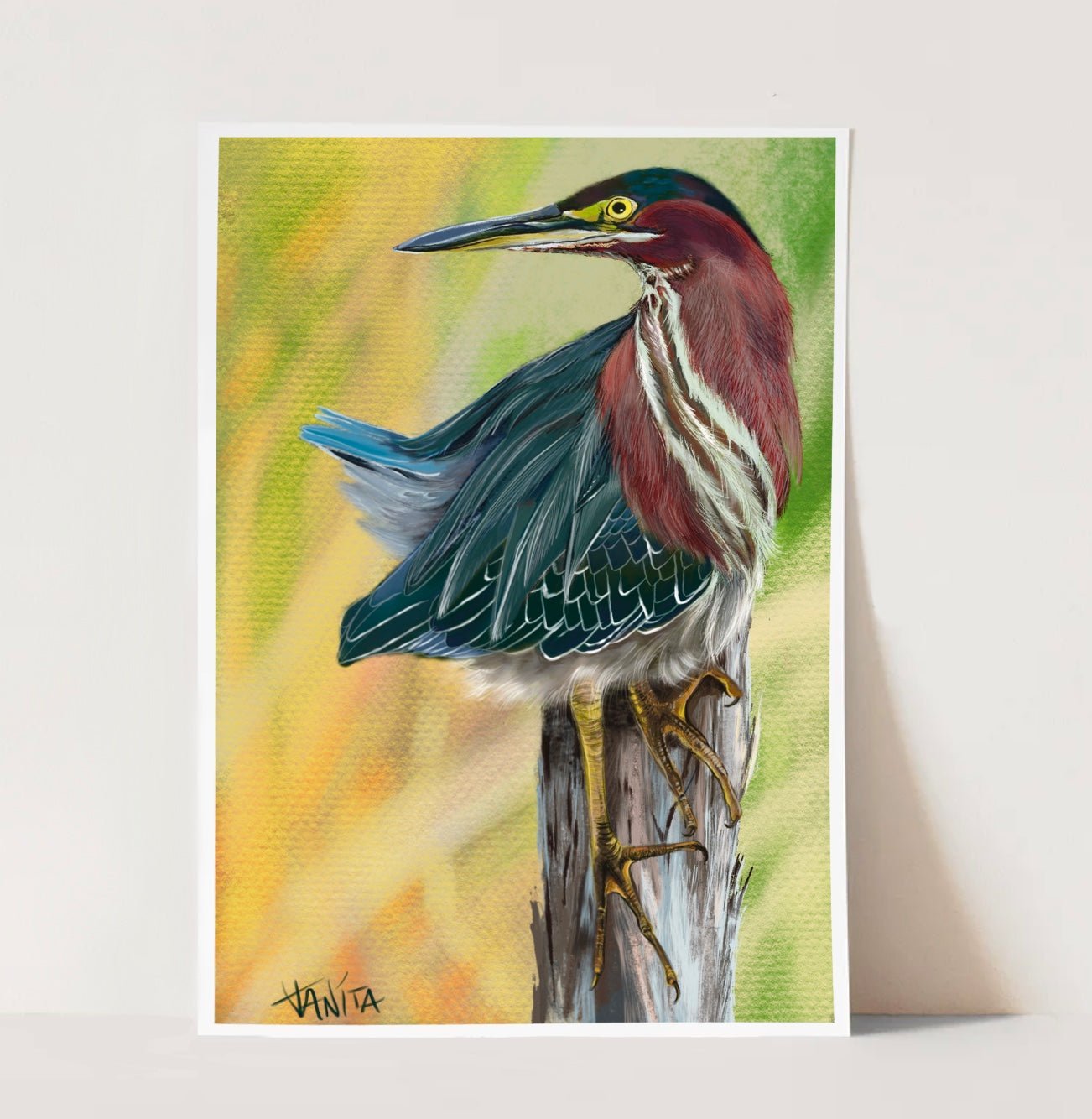 J Nelson | J Nelson | Green Heron Print | Cloister Collection | WS