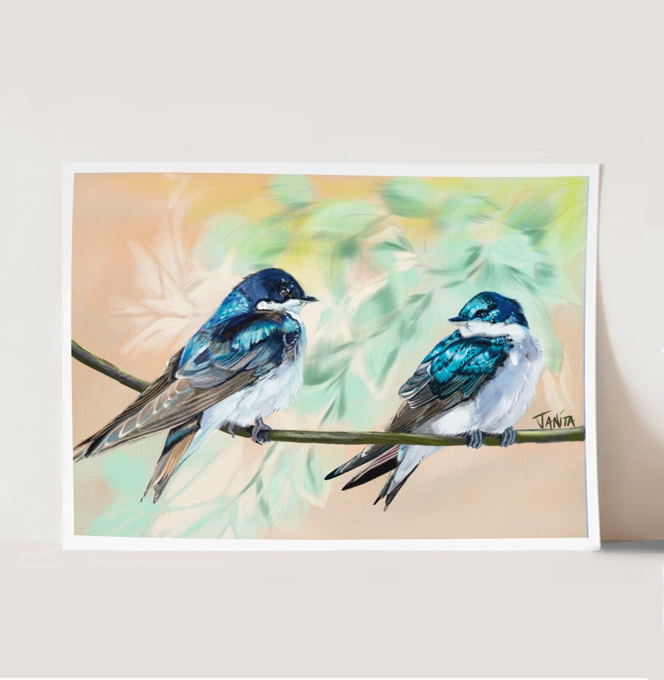 J Nelson | J Nelson | Tree Swallow Print | Cloister Collection | WS