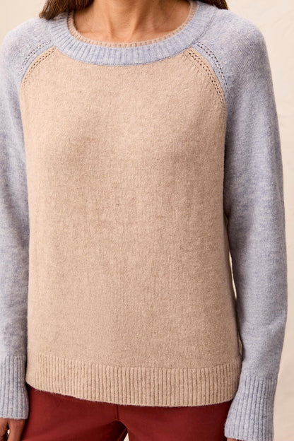 Color Block Raglan Sleeve Crew Neck Knit Sweater