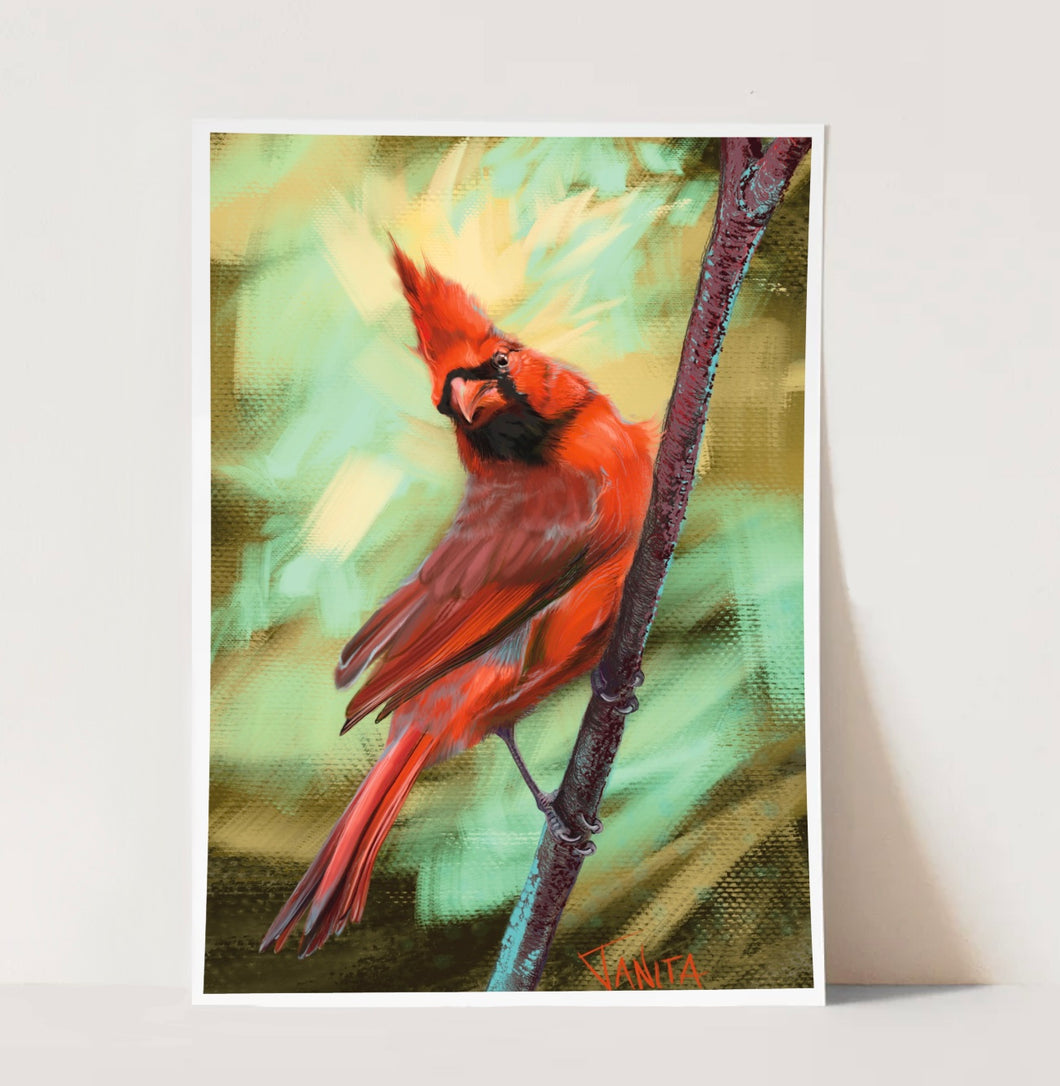 J Nelson | Cardinal  Print