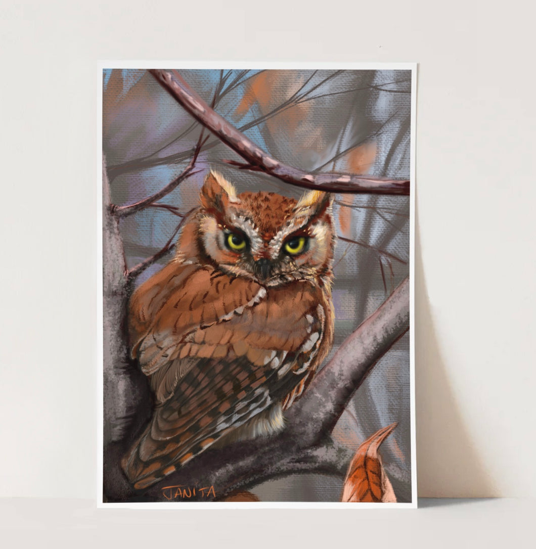 J Nelson | Eastern Screech Owl Print